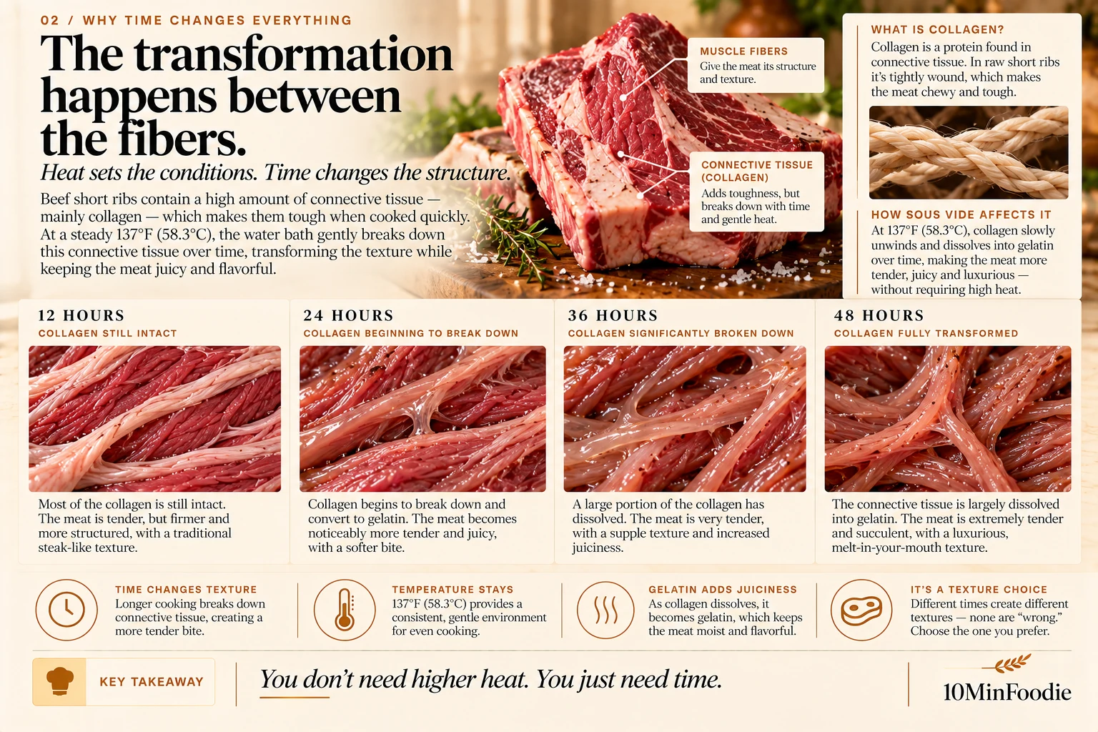 02 collagen science — 10MinFoodie illustrated guide